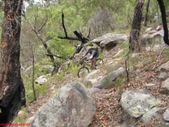 20070114-Coba 316 